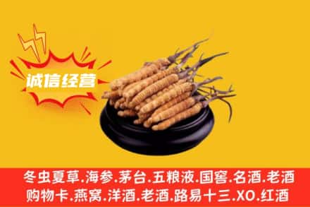 澄城县回收冬虫夏草